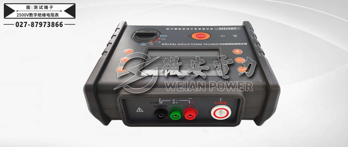 2500V數(shù)字絕緣電阻表測(cè)試端子