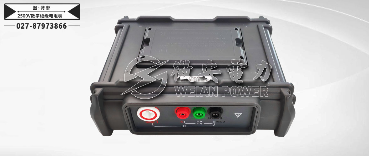 2500V數(shù)字絕緣電阻表背部