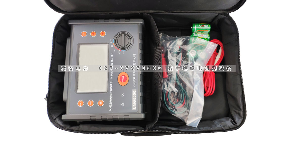 5000V高壓絕緣電阻表主機及附件