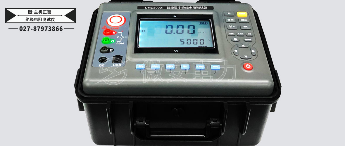 5kV智能數(shù)字絕緣電阻測(cè)試儀主機(jī)